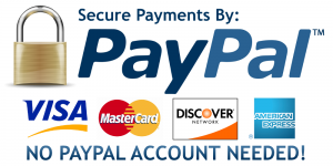 payments processed by paypal
